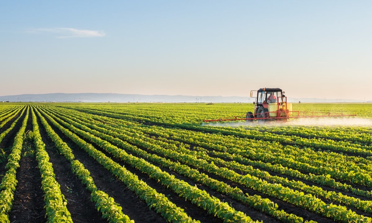 Kasama Farms